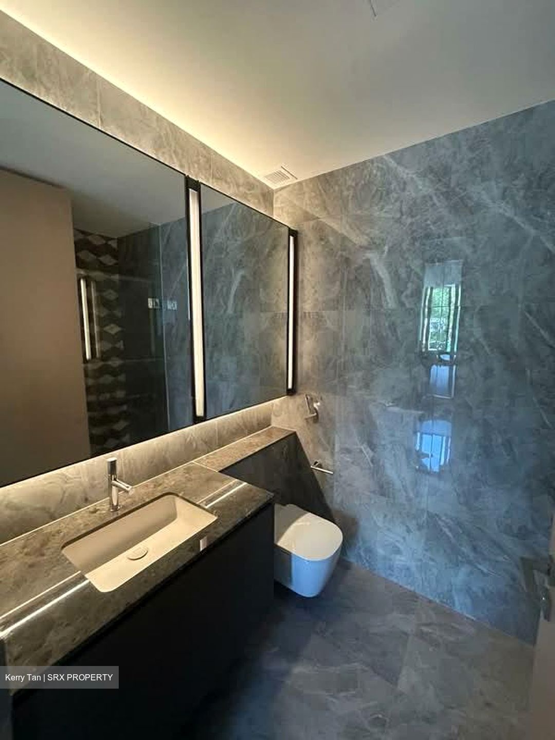 Leedon Green (D10), Condominium #571236131